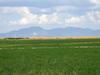 Irrigated Farm with Mountain Views - 1554 acres